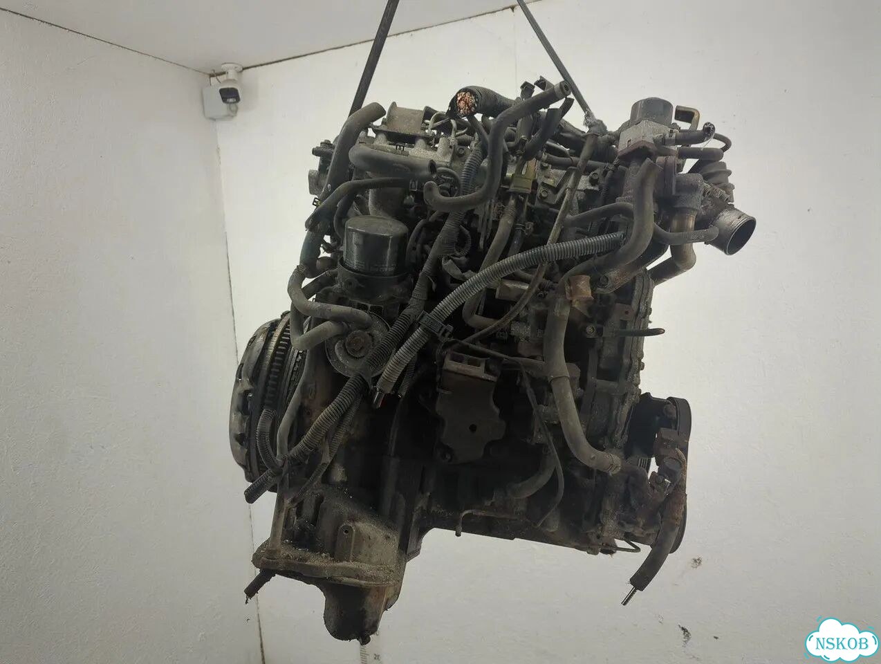 Двигатель Nissan Pathfinder YD25ddti фото 3