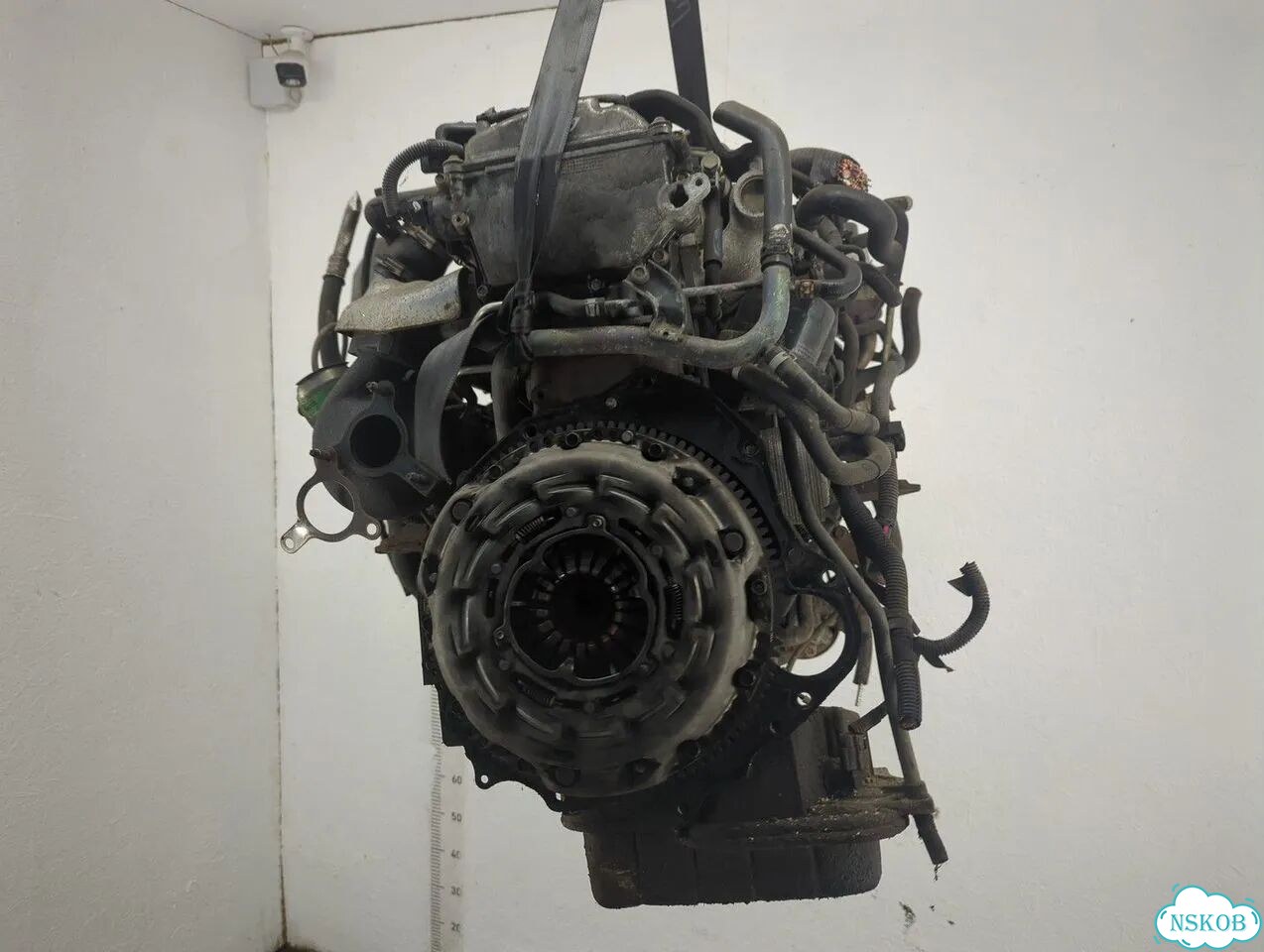 Двигатель Nissan Pathfinder YD25ddti фото 4