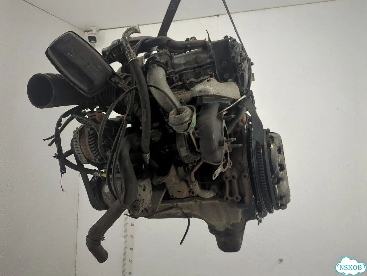 Двигатель Nissan Pathfinder YD25ddti фото 5