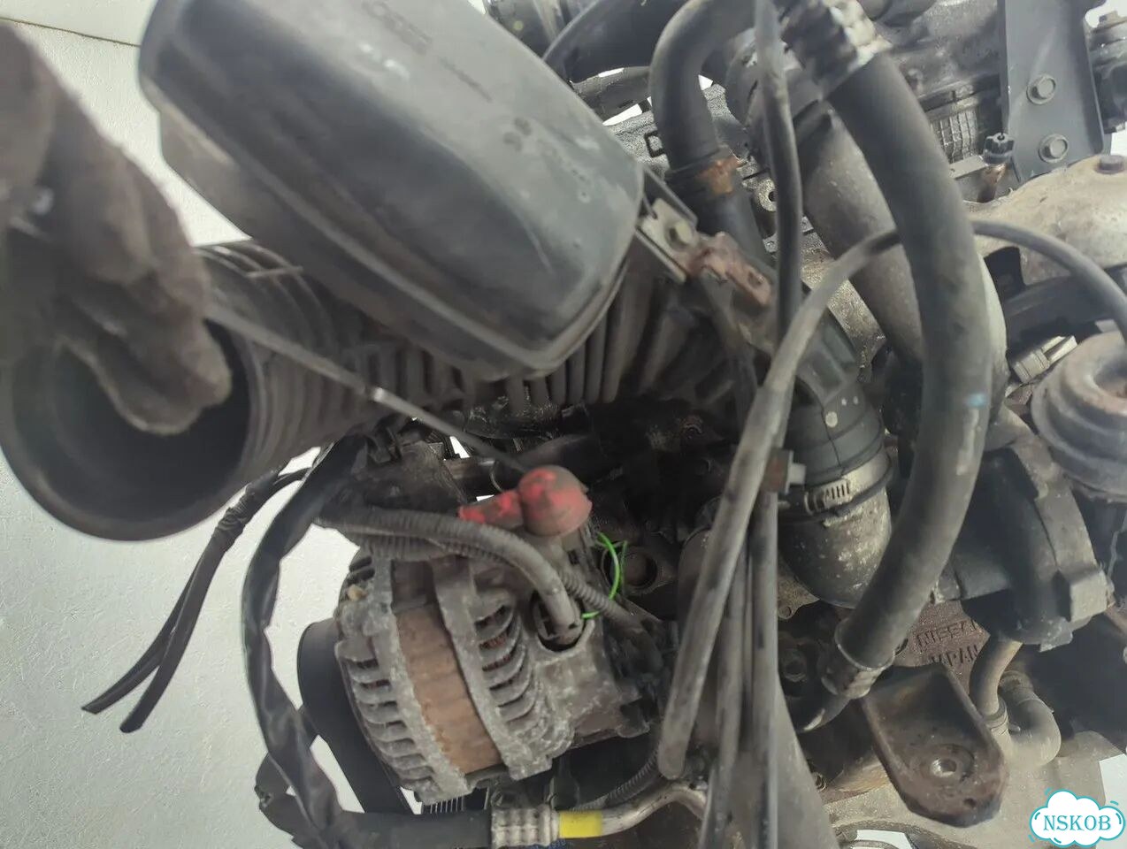 Двигатель Nissan Pathfinder YD25ddti фото 8
