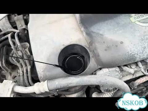 Форсунка топливная Nissan X-Trail (T31) фото 2