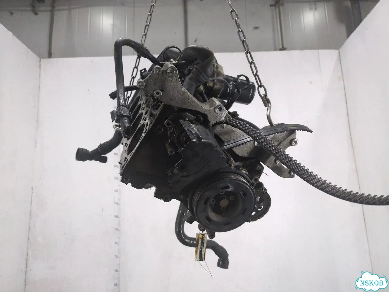 Блок цилиндров Volkswagen Beetle AQY фото 1