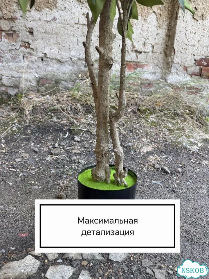 Искусственное дерево фикус, олива фото 7