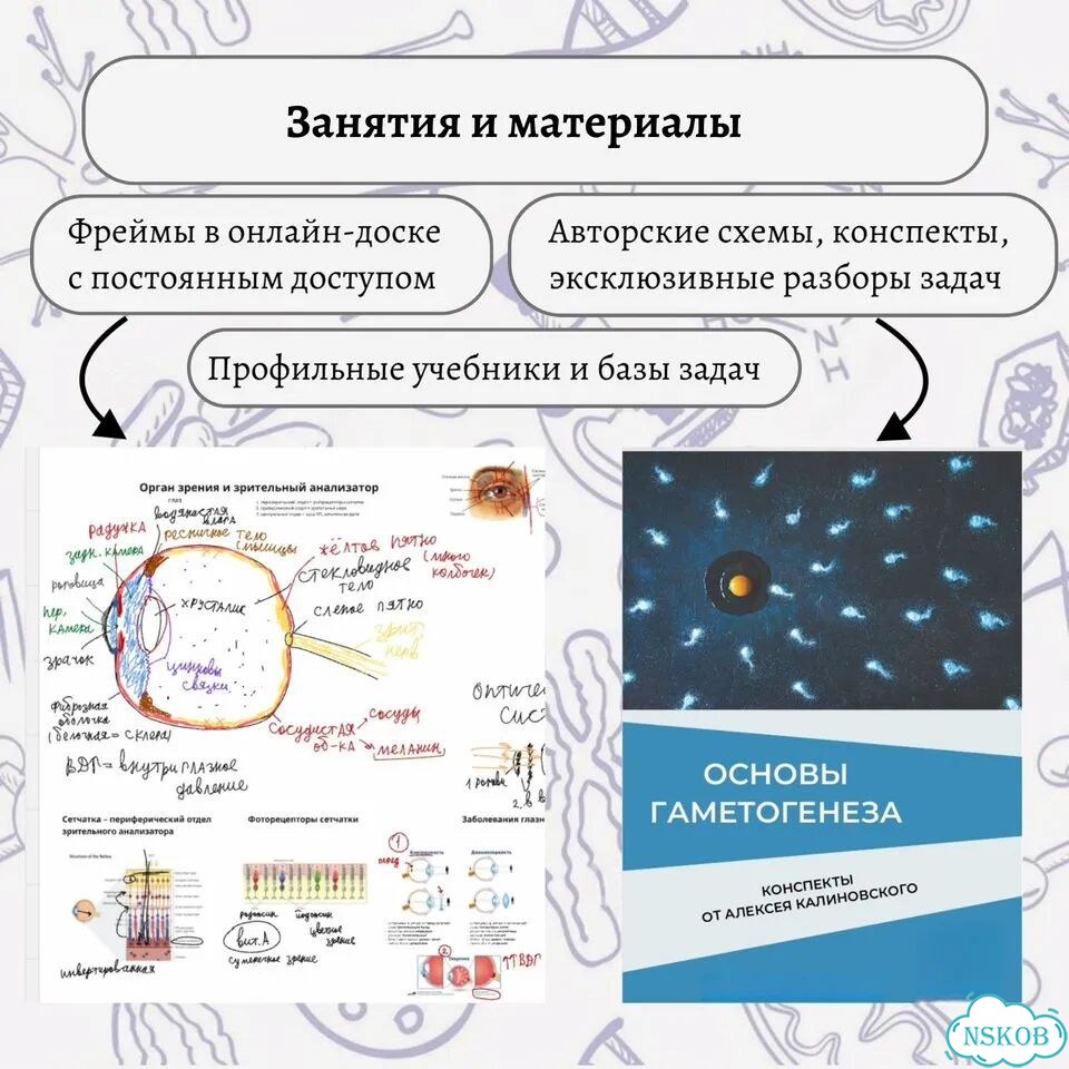Репетитор по биологии фото 7