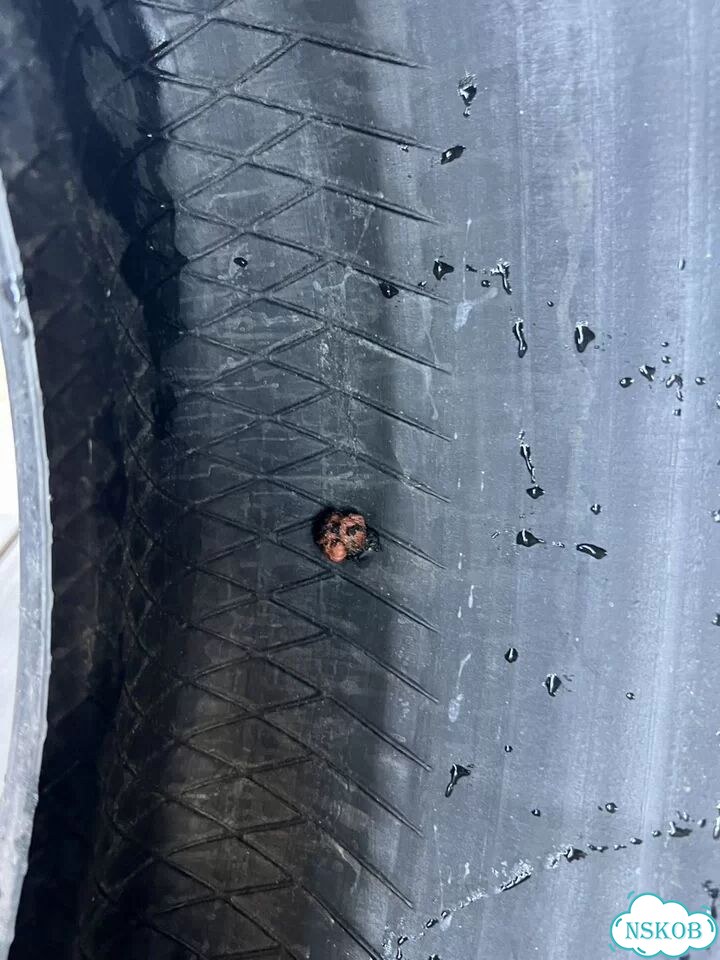 Dunlop SP Sport Maxx 275/40 R20 106 фото 7
