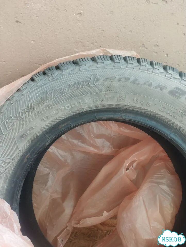 Cordiant Polar 2 175/70 R14 фото 1