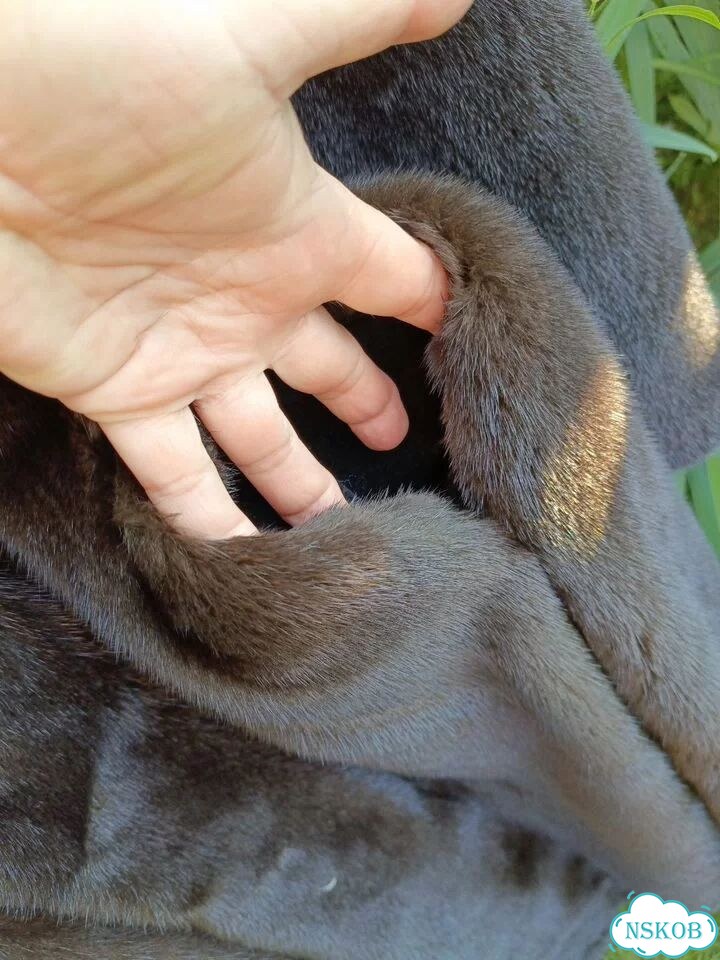 Шуба норковая blackglama 44 46 фото 9