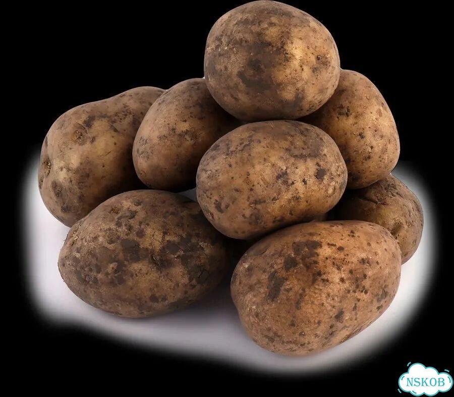 Продам картофель домашний фото 1
