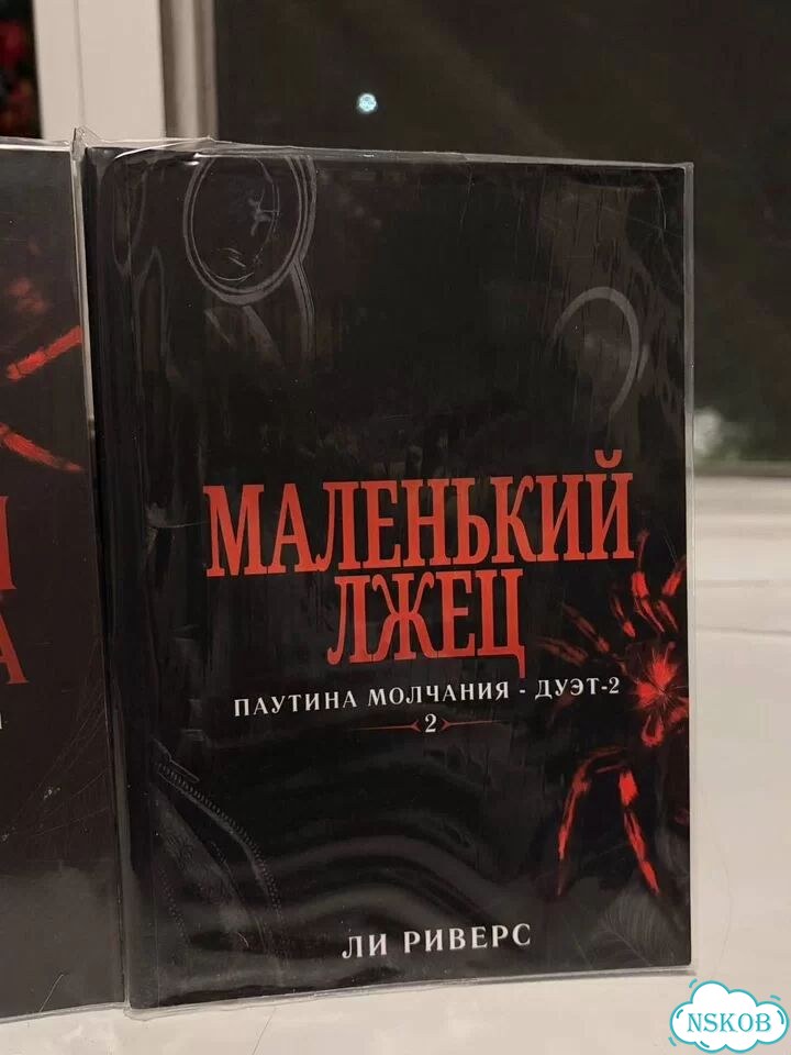 Книги Маленькая незнакомка и Маленький лжец фото 4