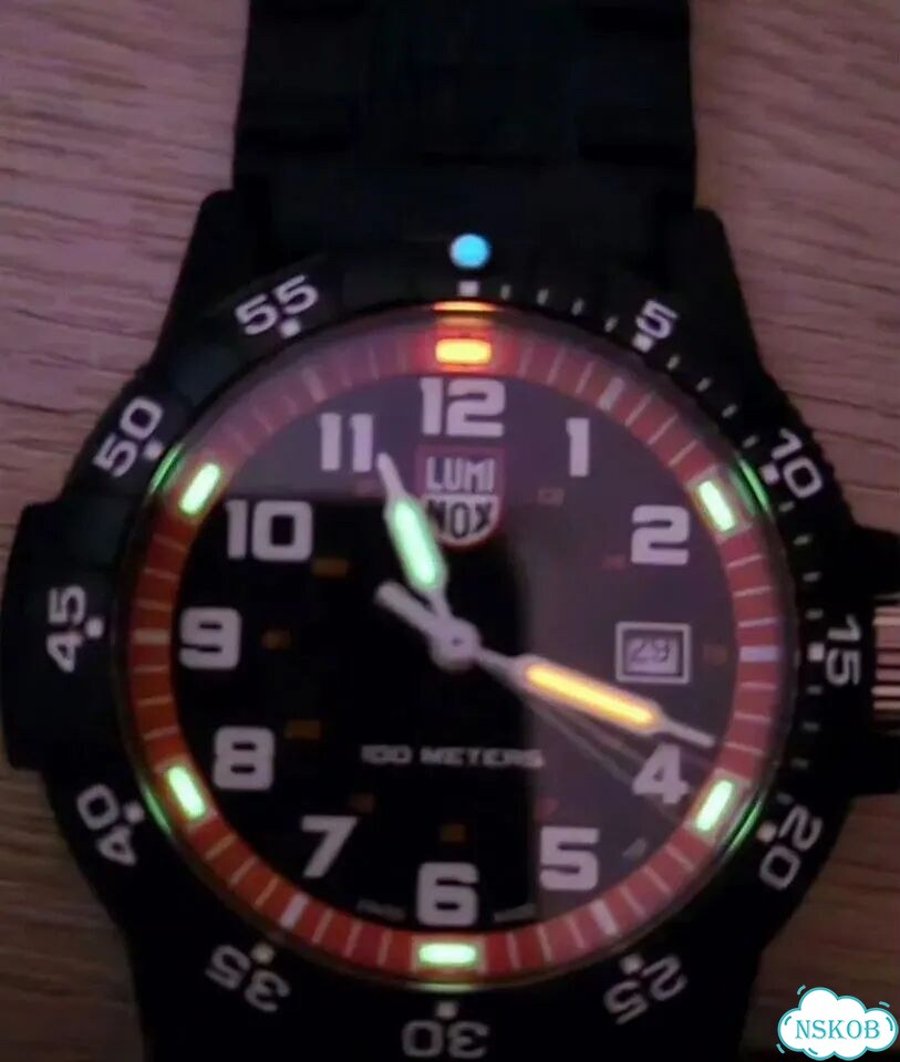 Швейцарские часы Luminox XS.0329.1 фото 6