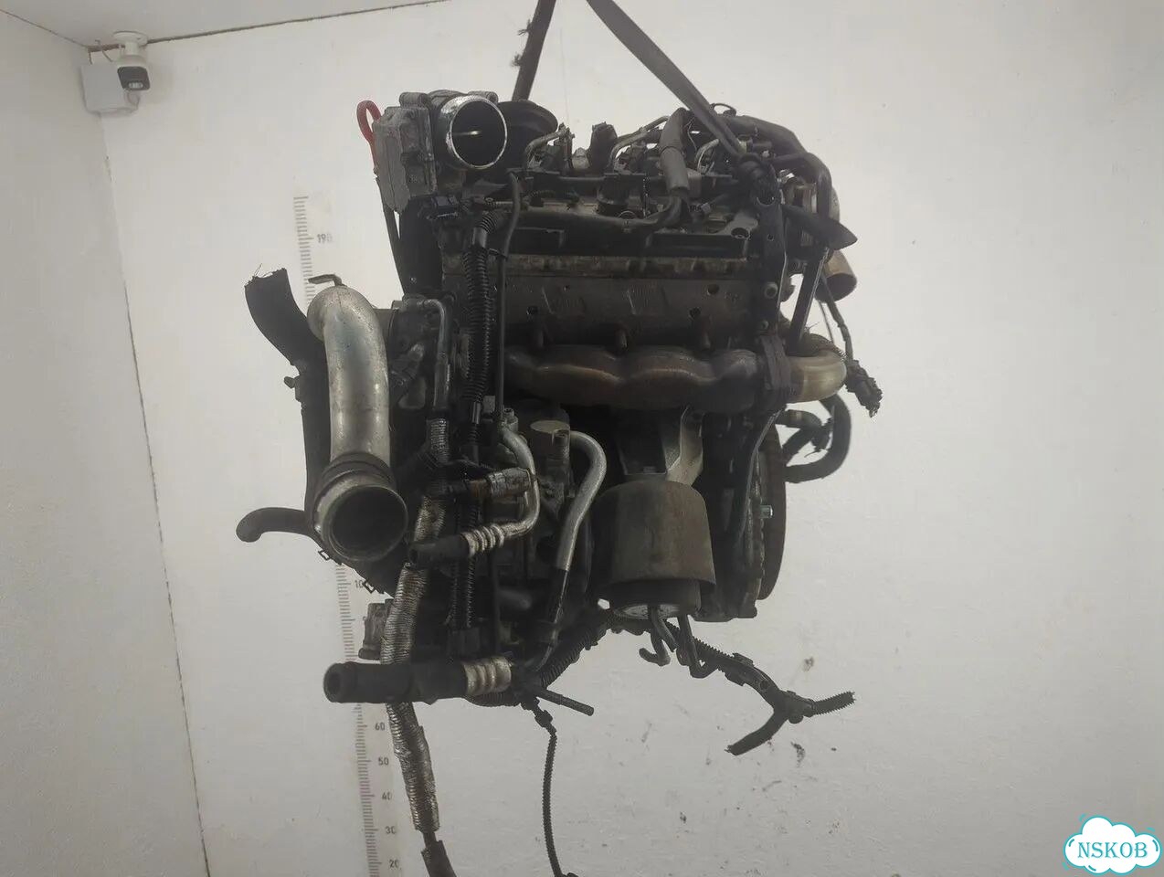 Двигатель Volkswagen Phaeton cexb фото 3