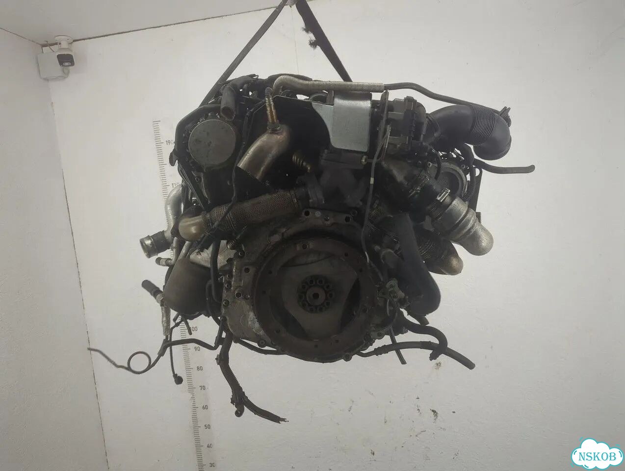 Двигатель Volkswagen Phaeton cexb фото 4