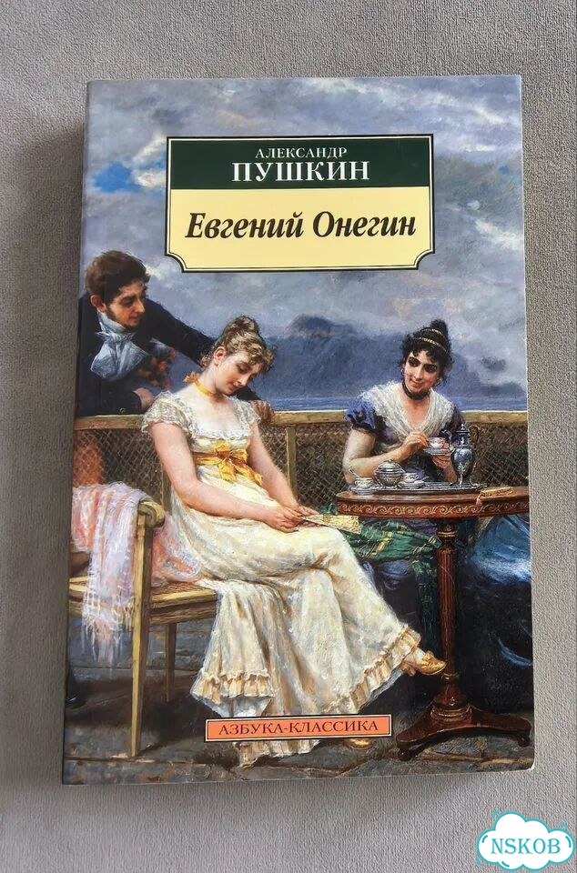 Евгений онегин книга фото 1
