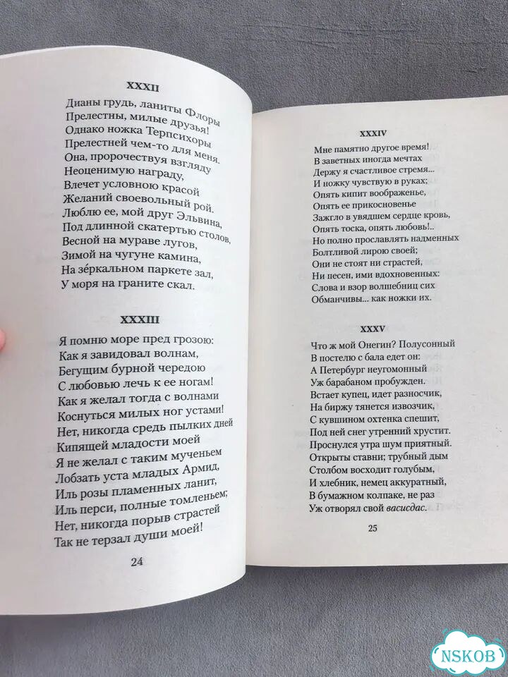 Евгений онегин книга фото 3