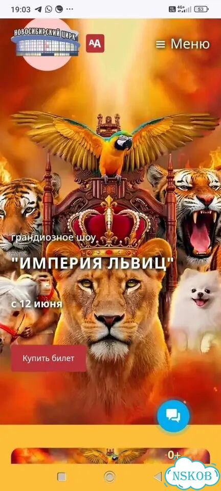 Билеты в цирк фото 1