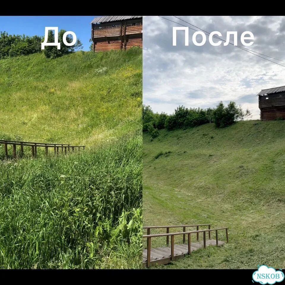 Качественный покос травы фото 3