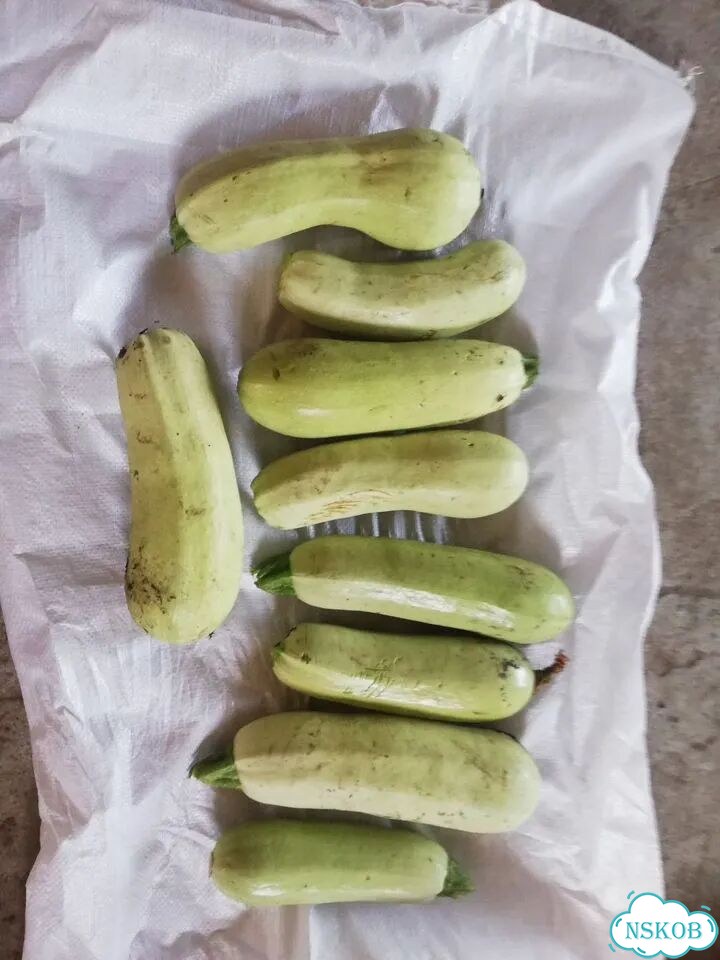 Кабачки фото 3