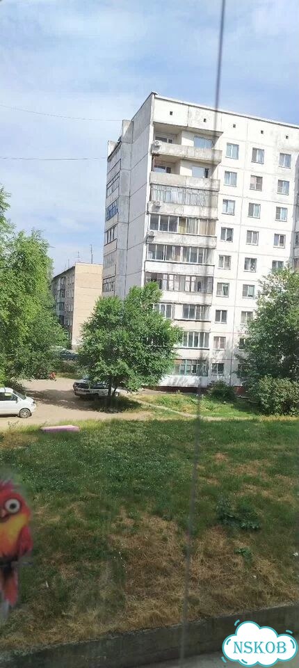 2-к. квартира, 51,5 м², 3/10 эт. фото 6
