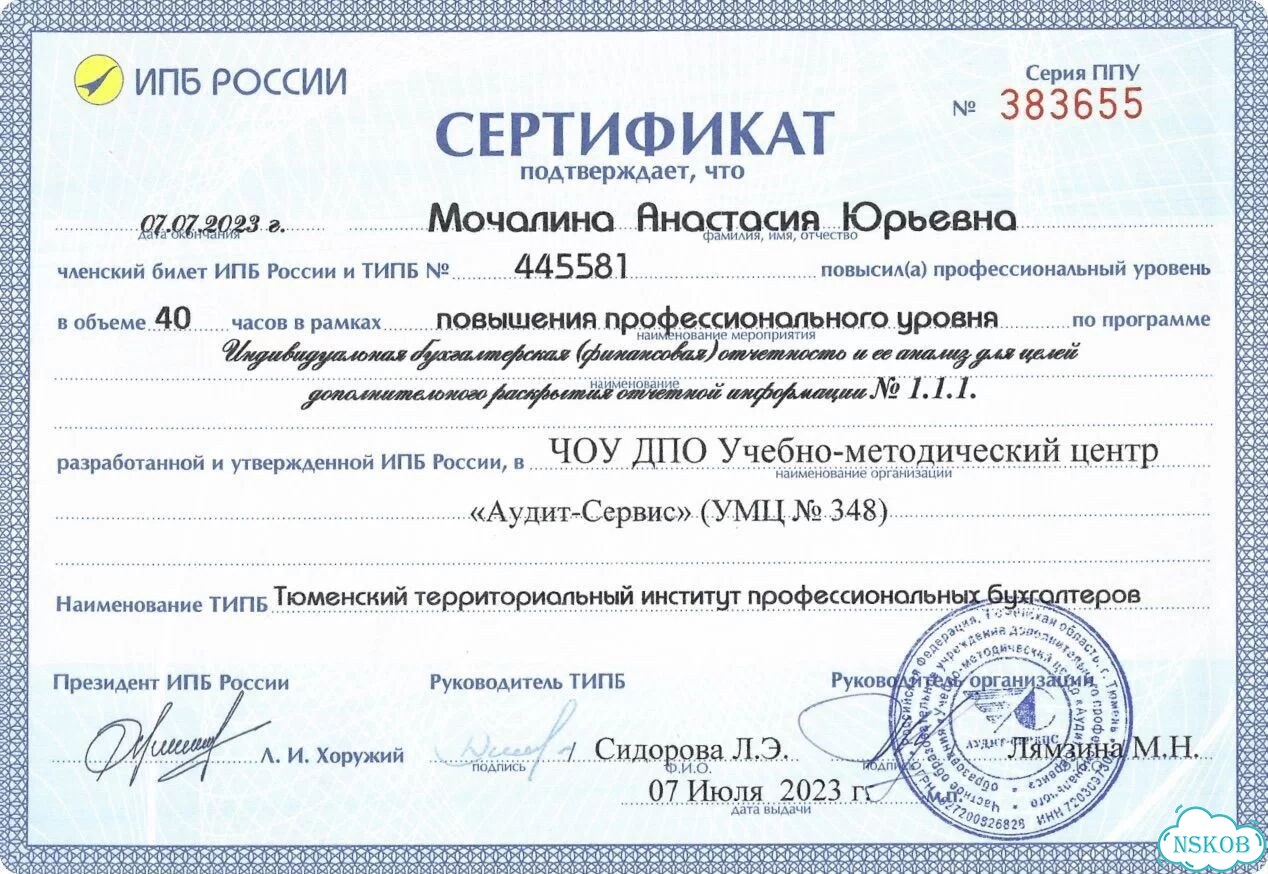 Сдача отчетности Новосибирск / Бухгалтер ИП и ООО фото 7