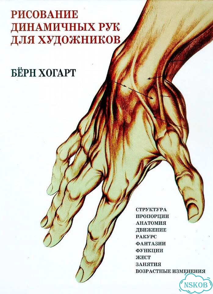 Рисование динамичных рук для художников Б. Хогарт фото 1