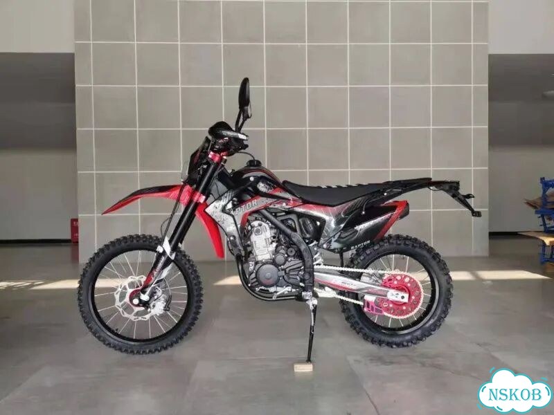 FXMOTO RAPTOR SBS300, 2026, 1 км фото 7