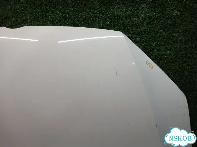 Капот Volkswagen Passat CFF caxa cdga cbab cpra cffb A32 B7 фото 3