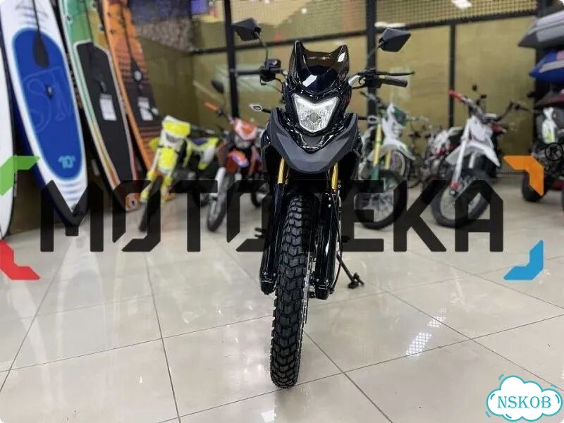 Racer RC300-GY8 Ranger, 2026, 1 км фото 9