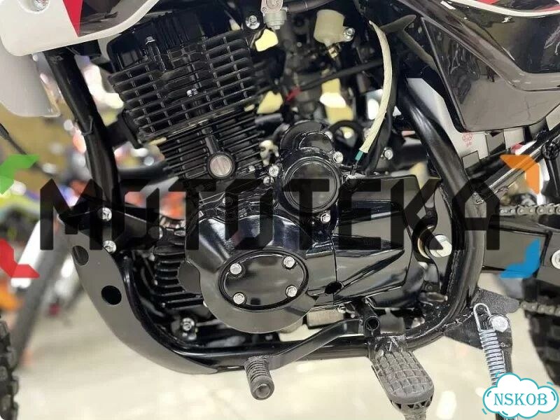 Racer RC250GY-C2 Panther, 2026, 1 км фото 3