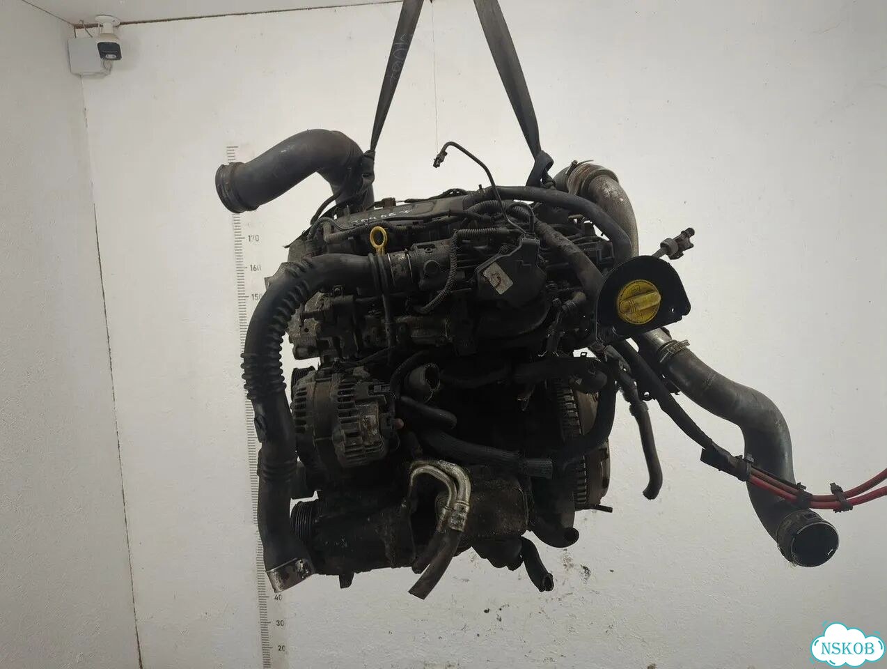Двигатель Opel Vivaro R9M фото 3