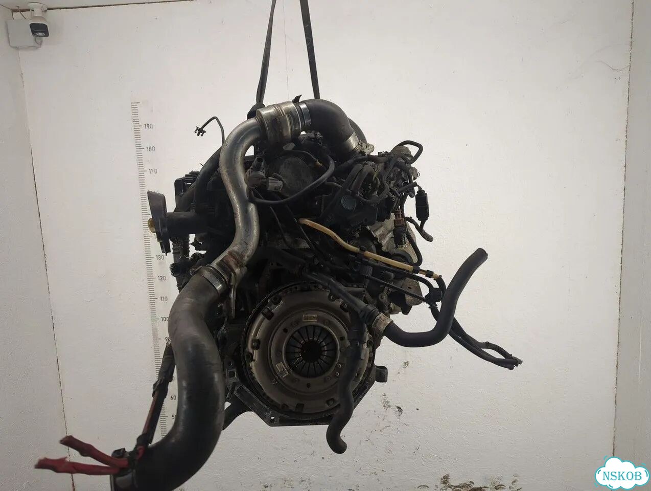 Двигатель Opel Vivaro R9M фото 4