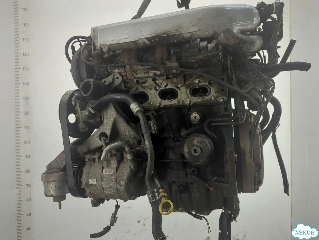 Двигатель Opel Vectra B Y26SE фото 1