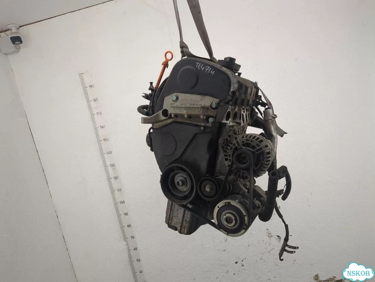 Двигатель Volkswagen Polo BKY фото 1