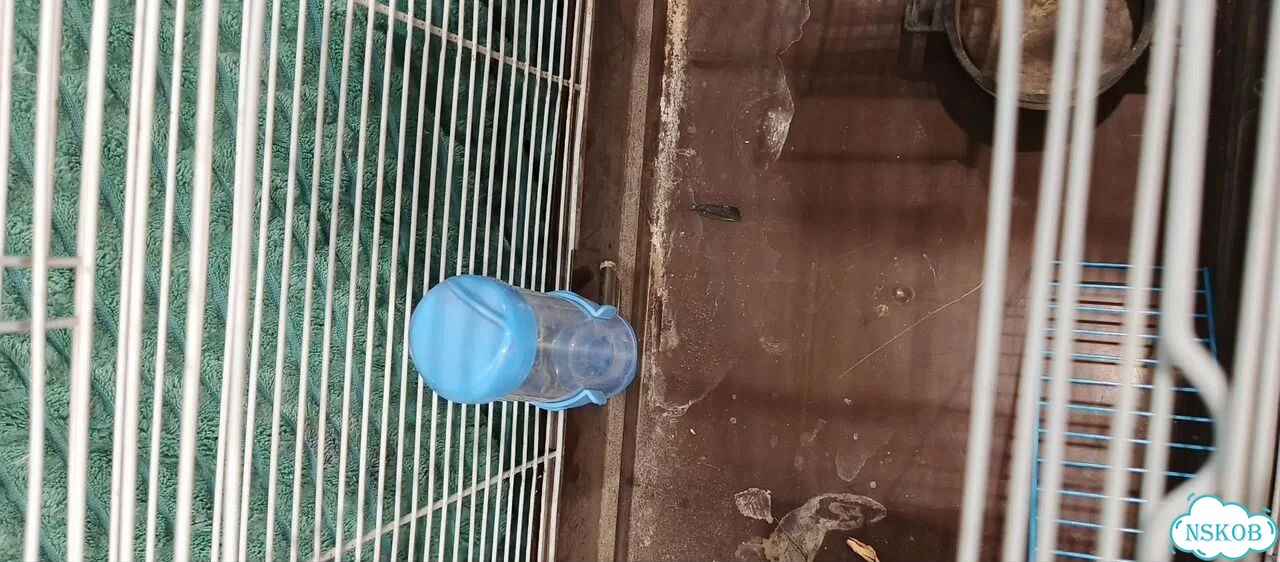 Клетка для грызунов фото 4