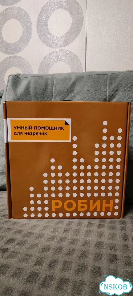 Умный помощник для незрячих робин фото 1