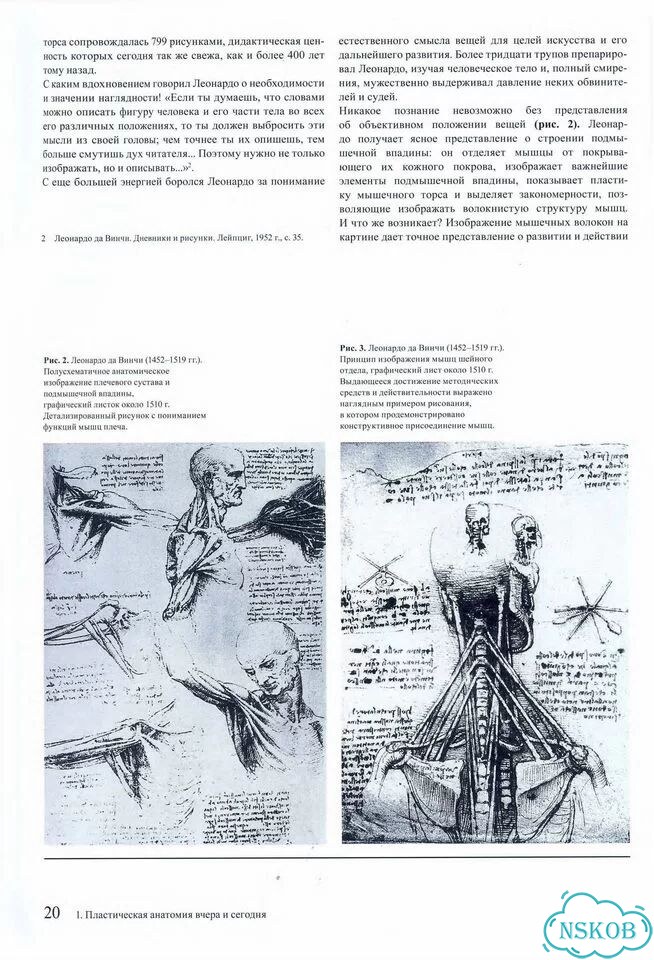 Образ человека Баммес Готтфрид фото 4