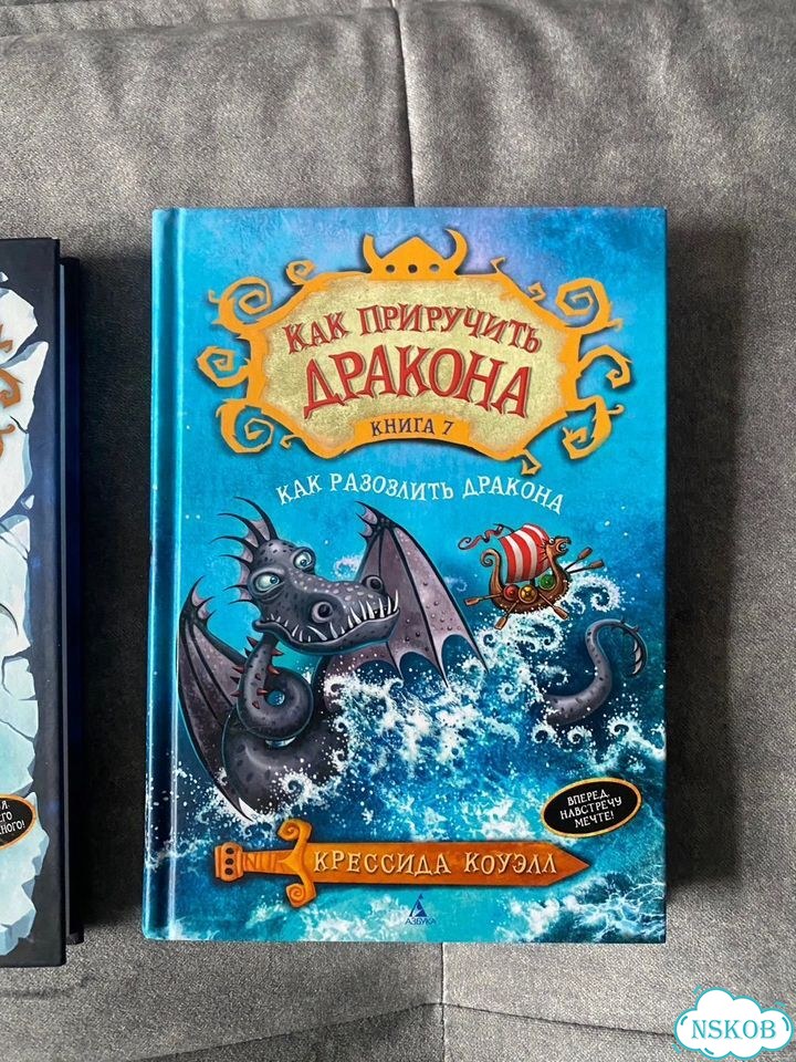 Книги «Как приручить дракона» фото 2