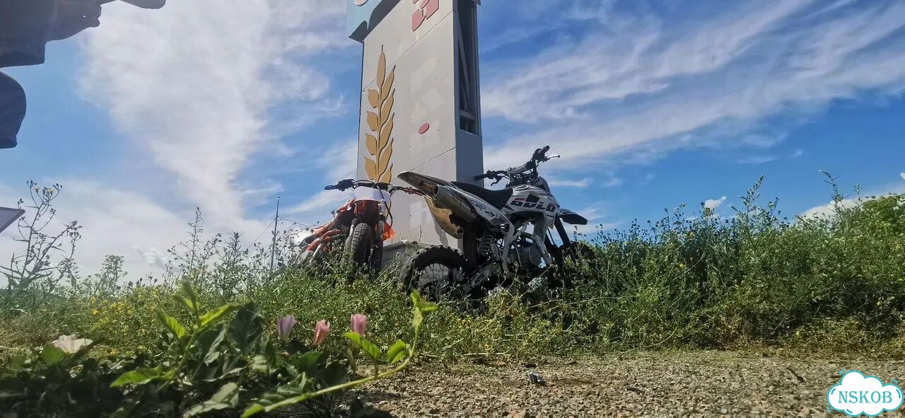 Пит байк 125 кубов фото 3