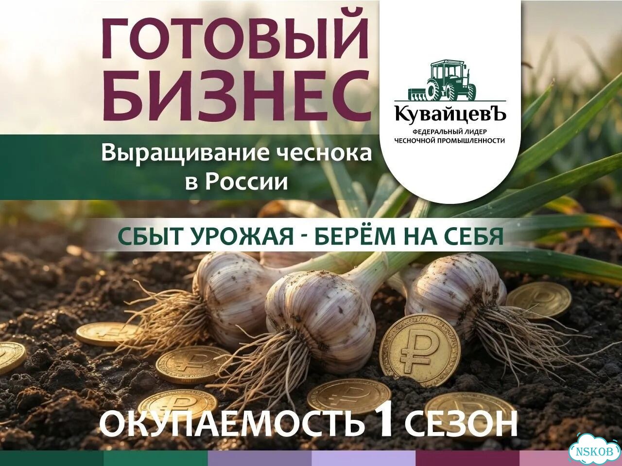 Франшиза по выращиванию чеснока фото 1