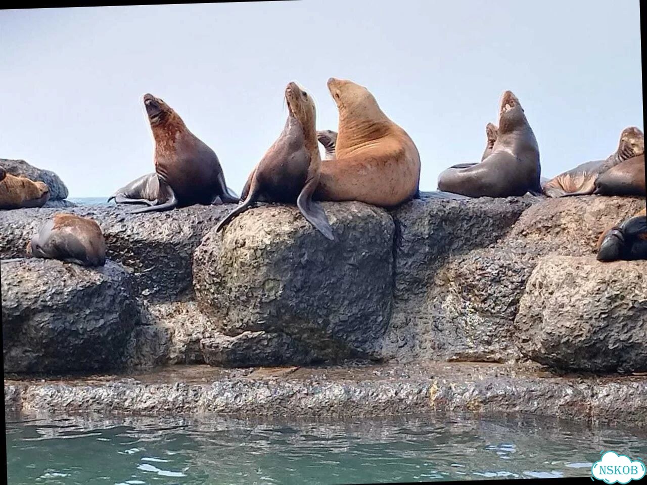 На Сахалин на 8 дн / 7 нч Скалы, водопады, озера фото 8