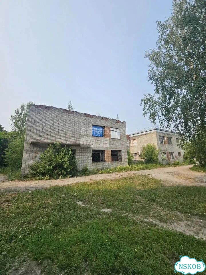 Перспективная локация (скиф) фото 4
