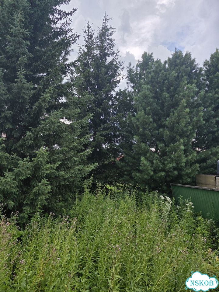 Дом 48 м² на участке 10 сот. фото 2