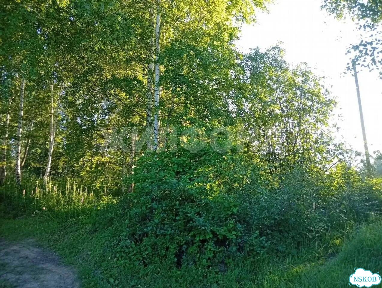 Участок 12 сот. (СНТ, ДНП) фото 2