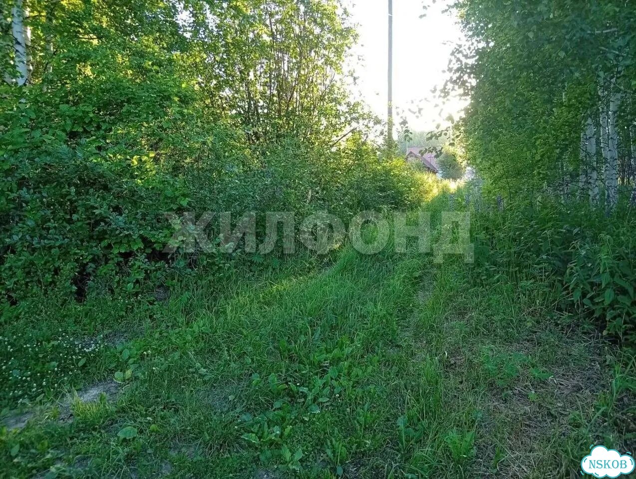 Участок 12 сот. (СНТ, ДНП) фото 3