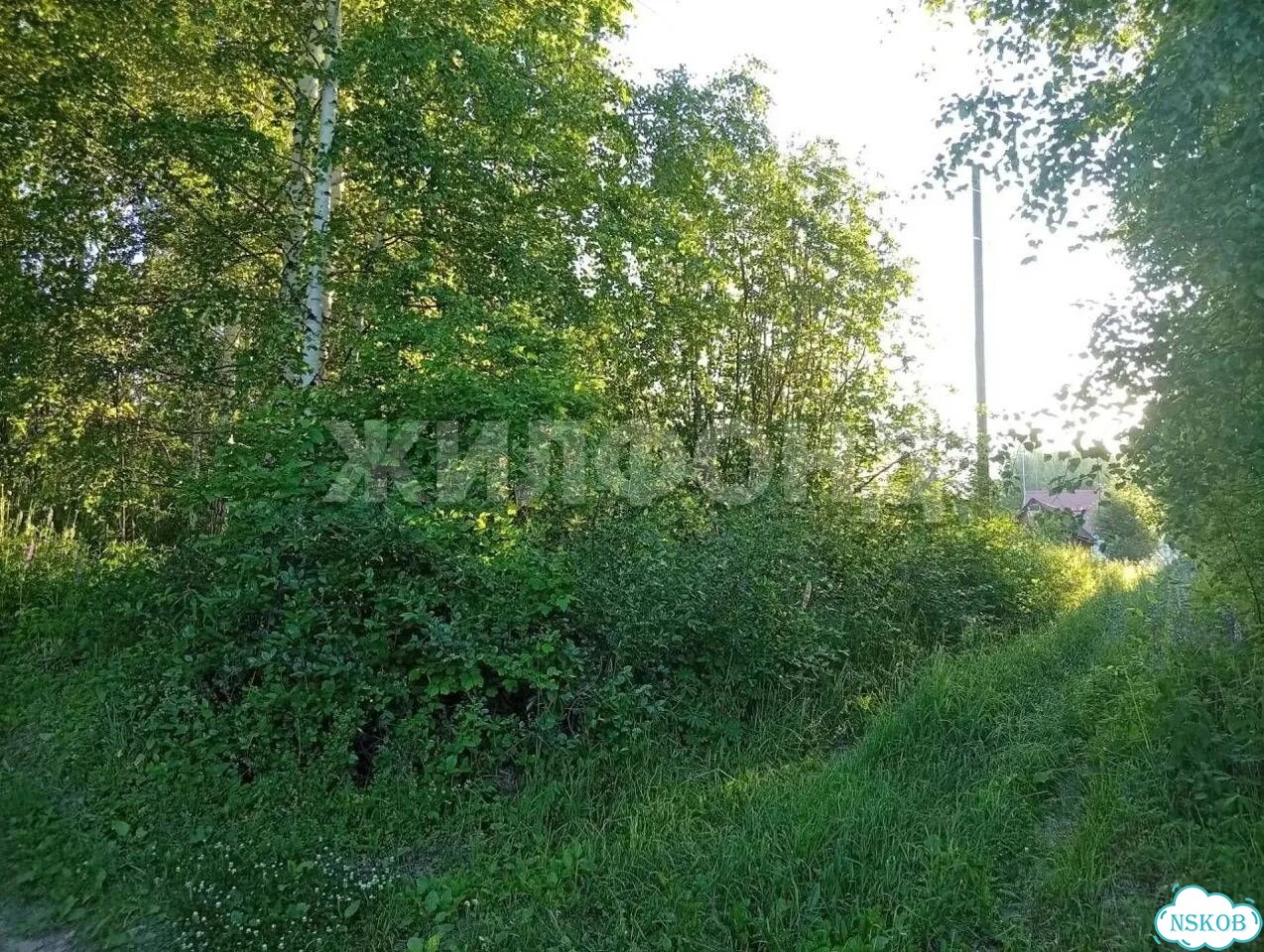Участок 12 сот. (СНТ, ДНП) фото 4