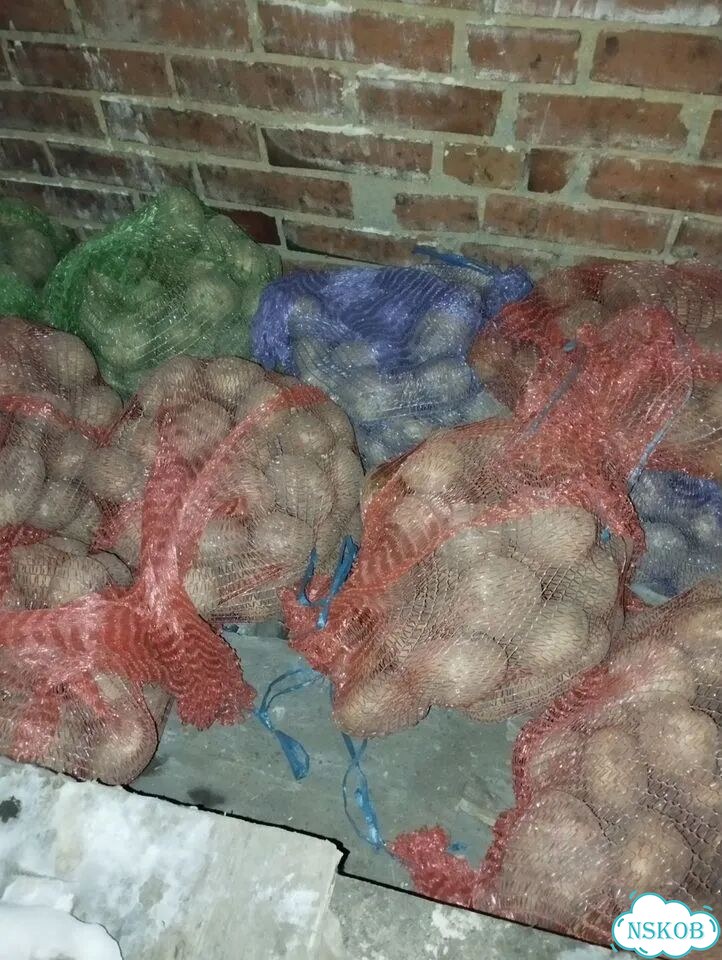Продам картофель домашний фото 2