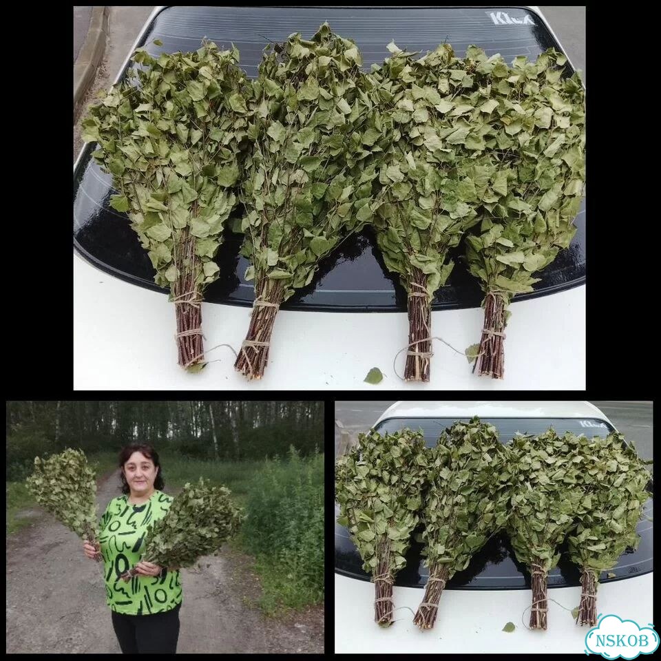 Березовые веники свежие фото 1
