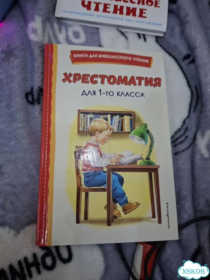 Хрестоматия и внеклассное чтение 1 класс фото 1