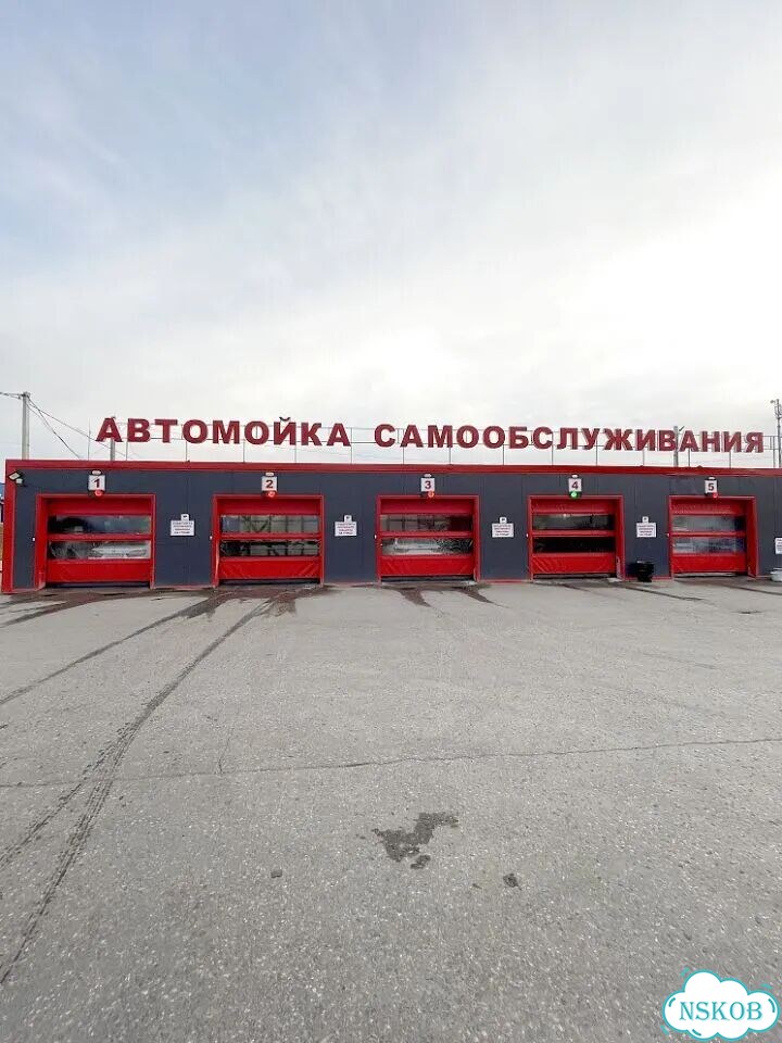 Прозрачные пвх ворота фото 1