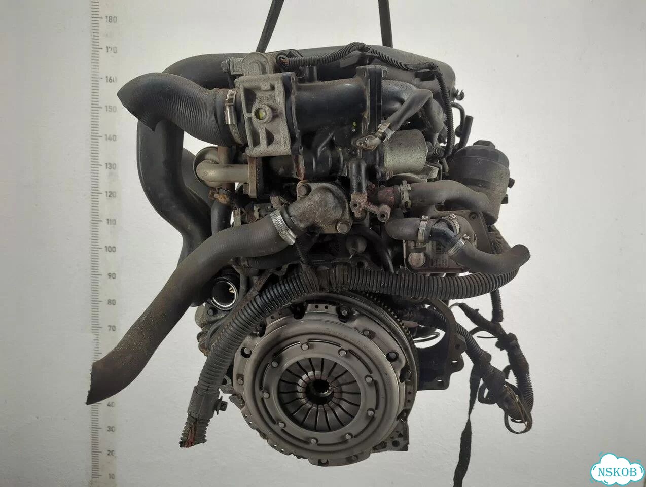 Двигатель Opel Astra H Z17DTH фото 3