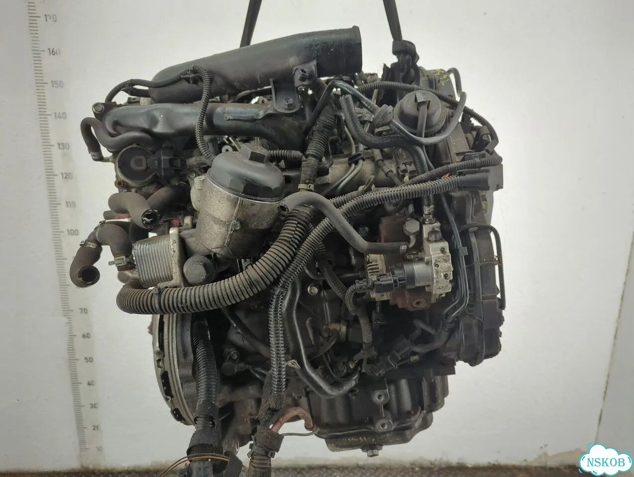 Двигатель Opel Astra H Z17DTH фото 4